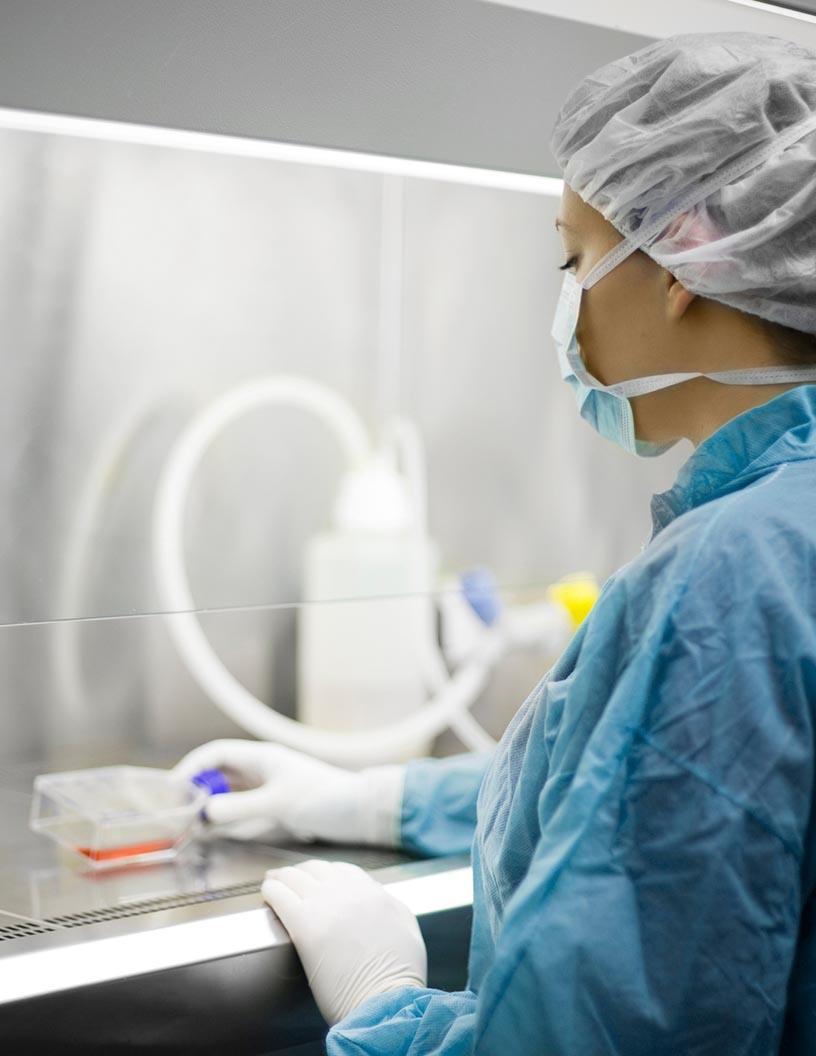 Single-Use Bioprocessing System Market Analysis, Size, and Forecast 2025-2029: North America (US and Canada), Europe (France, Germany, Italy, UK), Asia (China, India, Japan), and Rest of World (ROW)