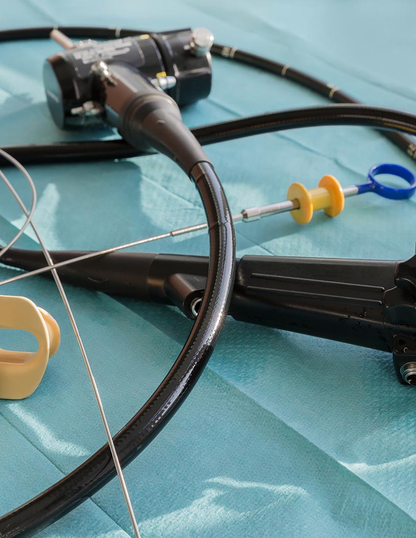 Global Veterinary Endoscopy Devices Market Analysis North America, Europe, Asia, Rest of World (ROW) - US, Canada, Germany, UK, France - Size and Forecast 2024-2028