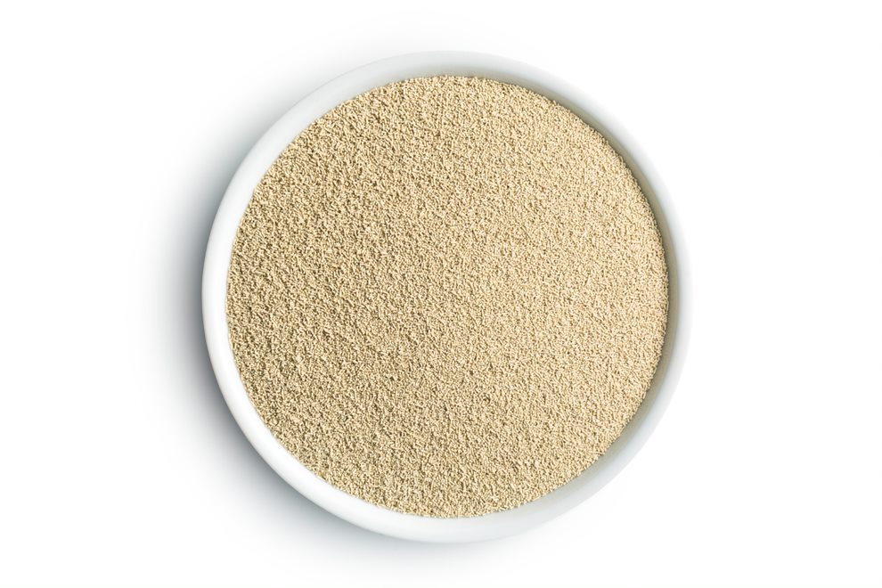 Feed Yeast Market by Product and Geography - Forecast and Analysis 2021-2025