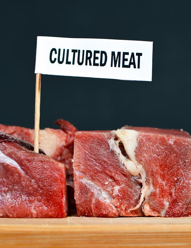 Artificial Meat Market by Product and Geography - Forecast and Analysis 2021-2025