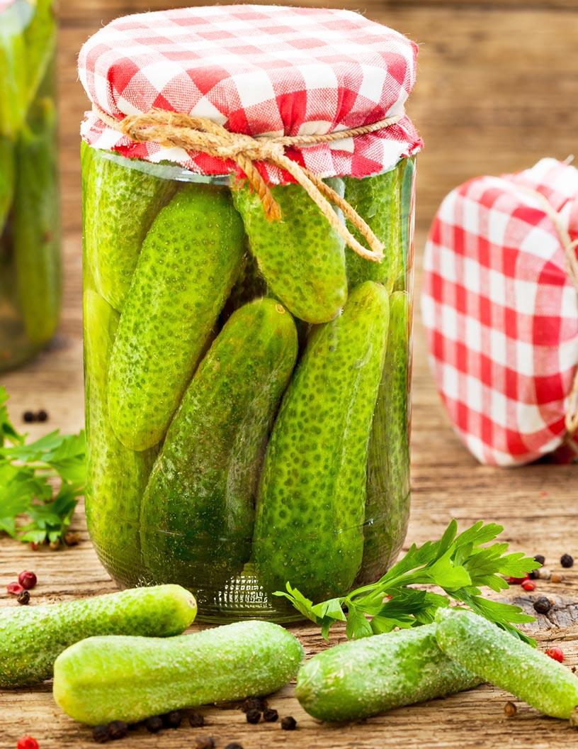 Cucumber And Gherkins Market Analysis, Size, and Forecast 2025-2029: North America (US and Canada), Europe (France, Germany, and UK), APAC (Australia, China, India, Japan, and South Korea), and Rest of World (ROW)