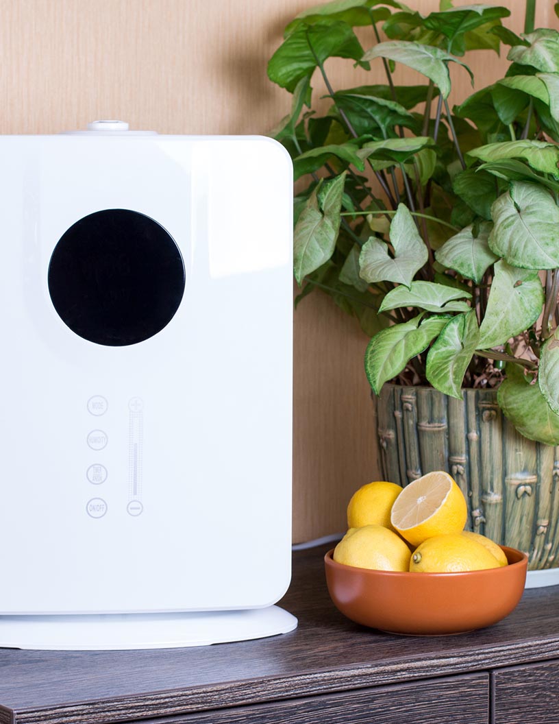 Air Purifier Market Analysis, Size, and Forecast 2025-2029: APAC (China, India, Japan, South Korea), North America (US and Canada), Europe (France, Germany, Italy, UK), South America , and Middle East and Africa