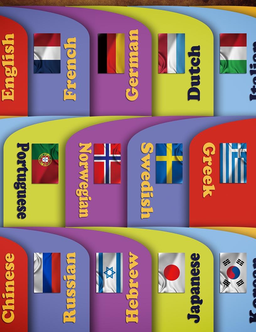 Language Services Market Analysis, Size, and Forecast 2025-2029: North America (US and Canada), Europe (France, Germany, Italy, and UK), APAC (China, India, Japan, and South Korea), and Rest of World (ROW)