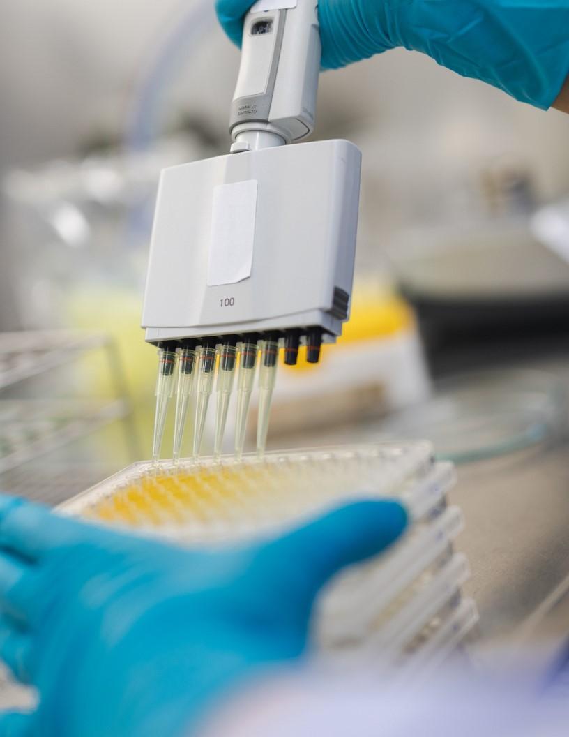 Biopharmaceutical Analytical Testing Services Market Analysis North America, APAC, Europe, South America, Middle East and Africa - US, China, Japan, UK, Germany, France, Canada, India, South Korea, Brazil - Size and Forecast 2025-2029