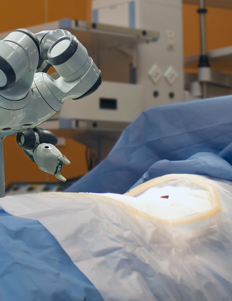 Healthcare IT Market Analysis, Size, and Forecast 2025-2029: North America (US and Canada), Europe (France, Germany, Italy, UK), APAC (China, India, Japan, South Korea), South America (Brazil), and Middle East and Africa (UAE)