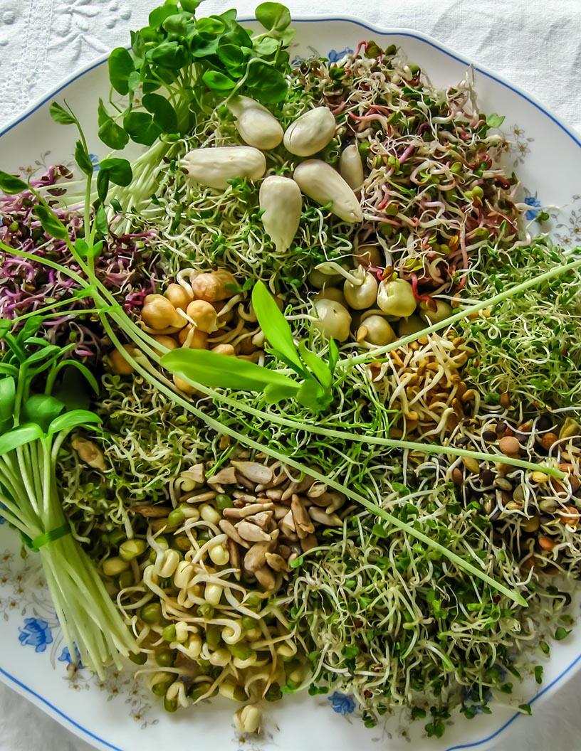 Food Enzymes Market Analysis North America, APAC, Europe, South America, Middle East and Africa - US, China, Germany, Japan, India, UK, France, Brazil, Italy, Singapore - Size and Forecast 2025-2029