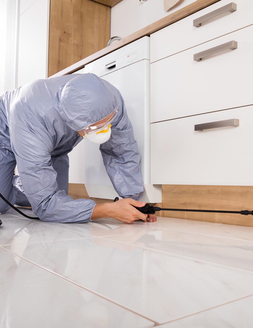 Household Insecticide Market by Product, Distribution Channel, and Geography - Forecast and Analysis 2021-2025