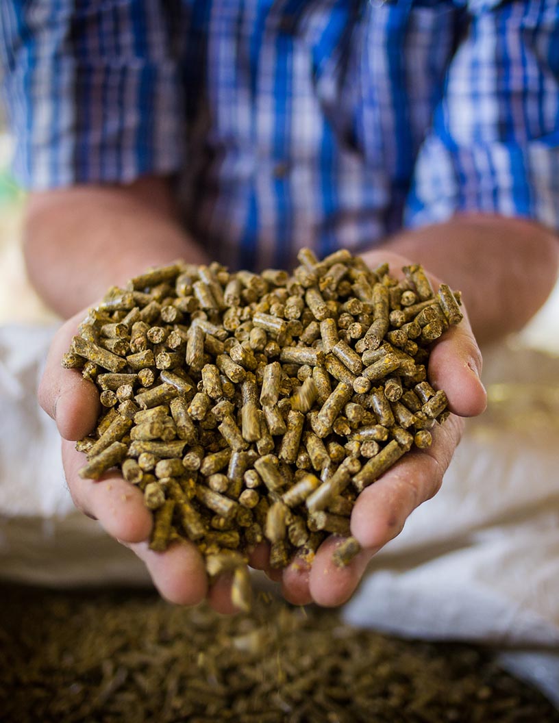 Global Animal Feed Vitamin Market Analysis APAC, Europe, North America, South America, Middle East and Africa - US, China, Japan, India, Germany - Size and Forecast 2024-2028