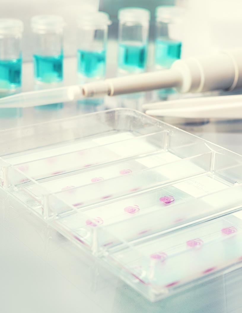 Breast Cancer Liquid Biopsy Testing Devices Market Analysis North America, Europe, Asia, Rest of World (ROW) - US, Germany, Canada, France, UK - Size and Forecast 2024-2028
