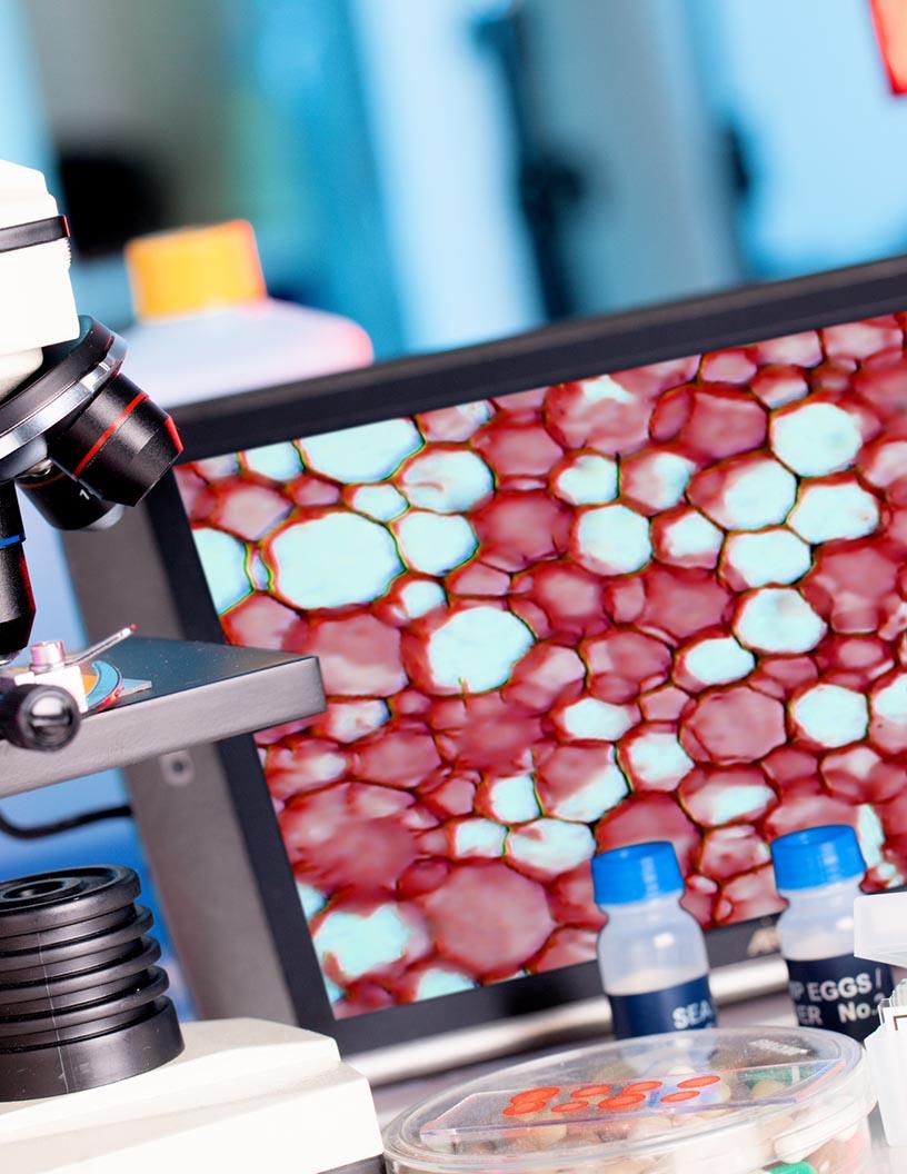 Cancer Registry Software Market Analysis, Size, and Forecast 2025-2029: North America (US, Canada, and Mexico), Europe (France, Germany, Italy, Spain, and UK), APAC (China and Japan), and Rest of World (ROW)