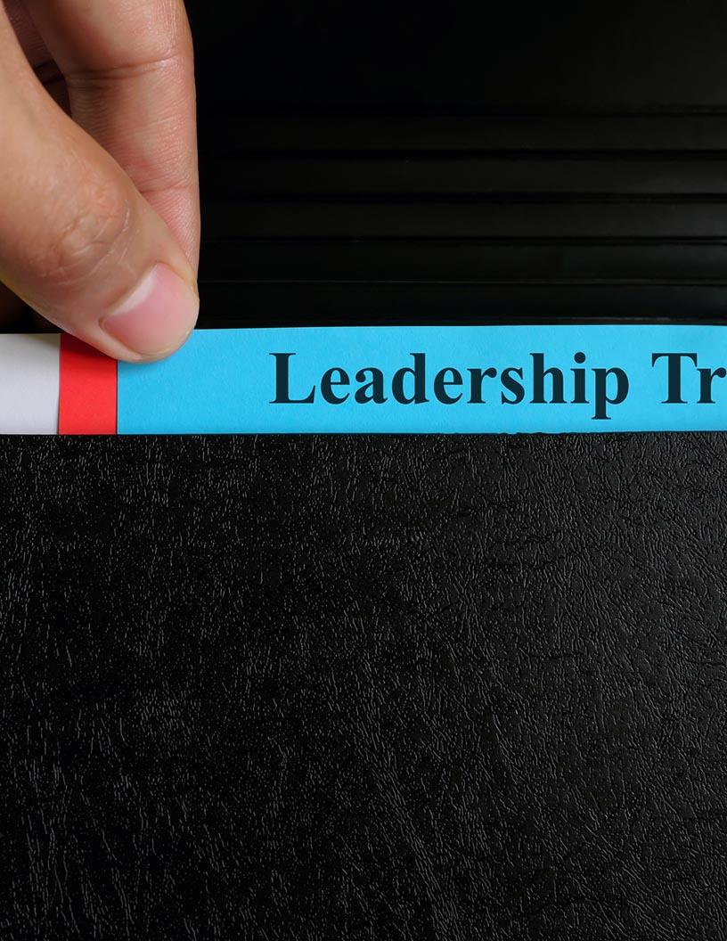 Corporate Leadership Training Market Analysis, Size, and Forecast 2025-2029: North America (US and Canada), Europe (France, Germany, Italy, UK), APAC (China, India, Japan), South America (Brazil), and Middle East and Africa (UAE)