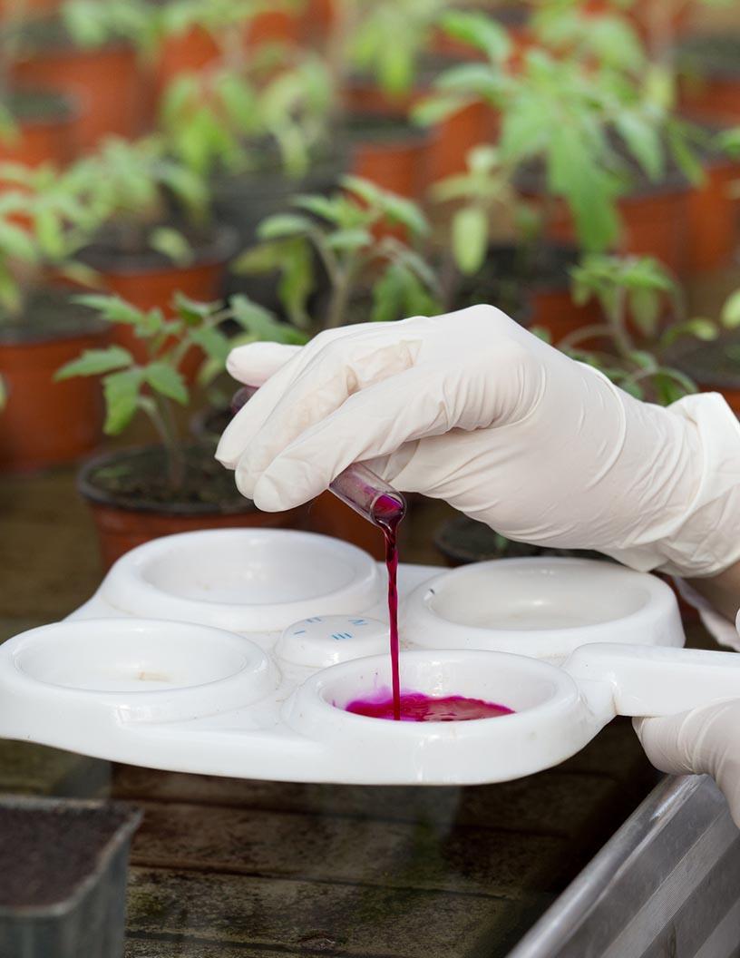 Agrochemicals Market Analysis, Size, and Forecast 2025-2029: North America (US and Canada), Europe (Germany), Middle East and Africa (South Africa), APAC (Australia, China, India, Japan, and South Korea), South America (Brazil), and Rest of World (ROW)