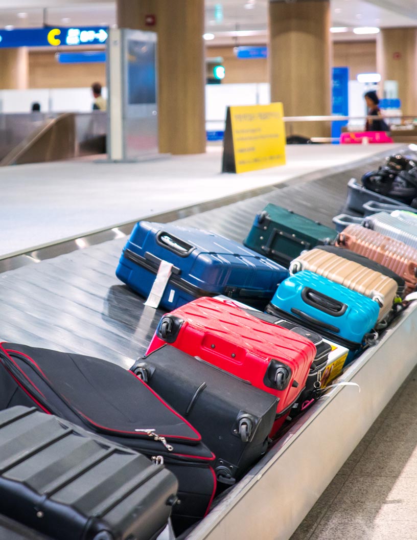 Luggage Market Analysis APAC, North America, Europe, South America, Middle East and Africa - US, China, Japan, India, Canada, South Korea, Germany, Australia, UK, France - Size and Forecast 2025-2029