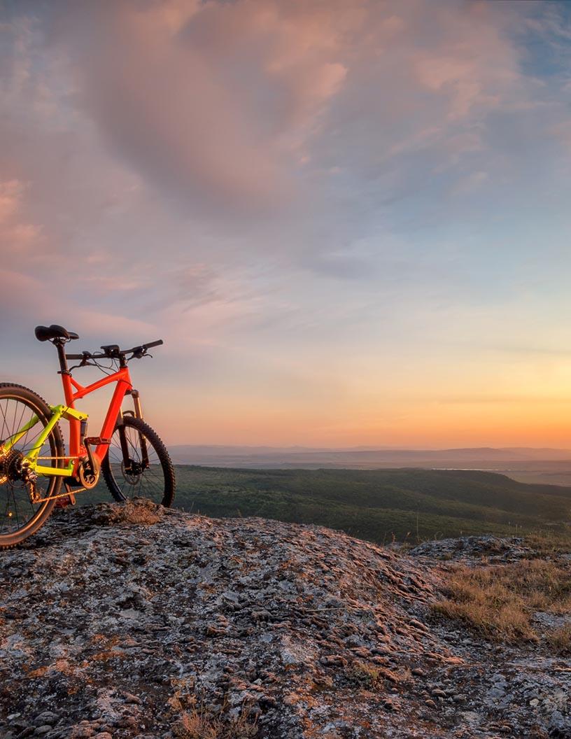 Mountain Bike Market Analysis, Size, and Forecast 2025-2029: North America (US), Europe (France, Germany, and UK), Middle East and Africa (UAE), APAC (Australia, China, India, Japan, and South Korea), South America (Brazil), and Rest of World (ROW)