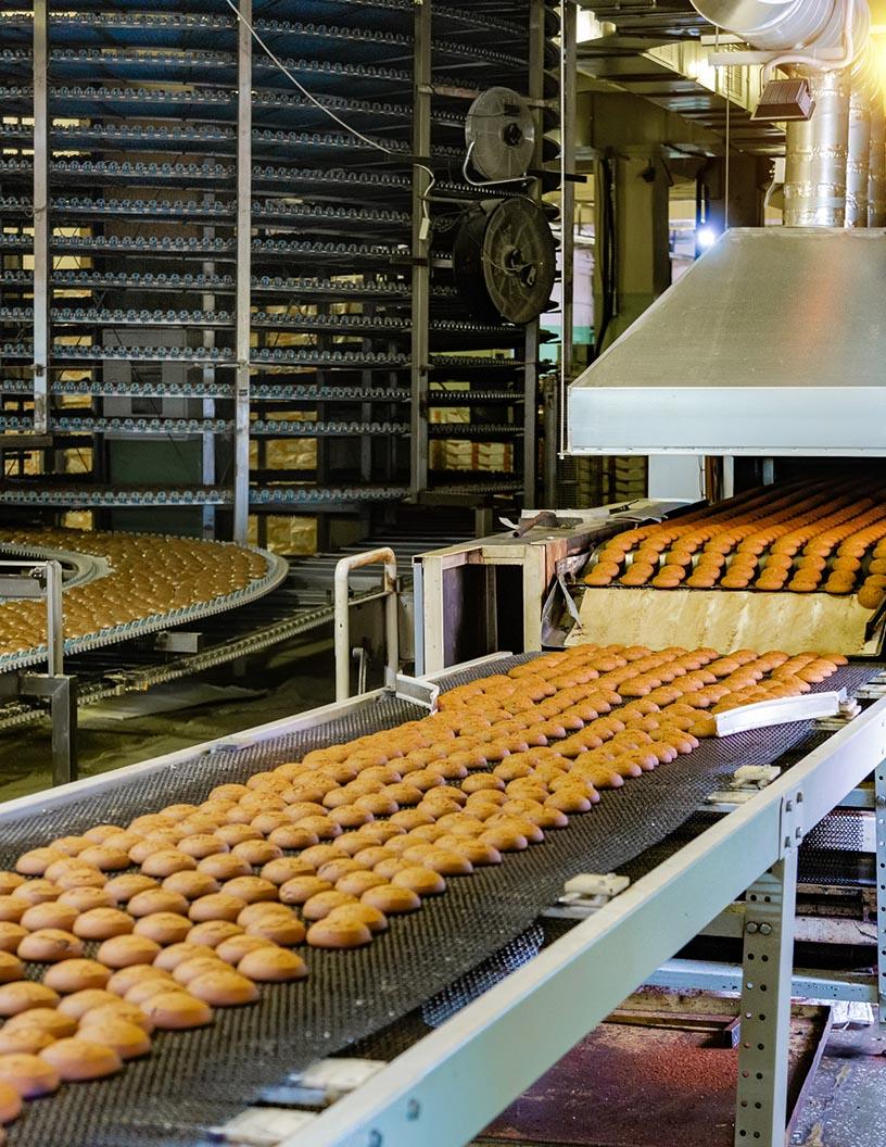 Industrial Bakery Processing Equipment Market Analysis, Size, and Forecast 2025-2029: Europe (France, Germany, Italy, UK), North America (US and Canada), APAC (China, India, Japan, South Korea), South America , and Middle East and Africa