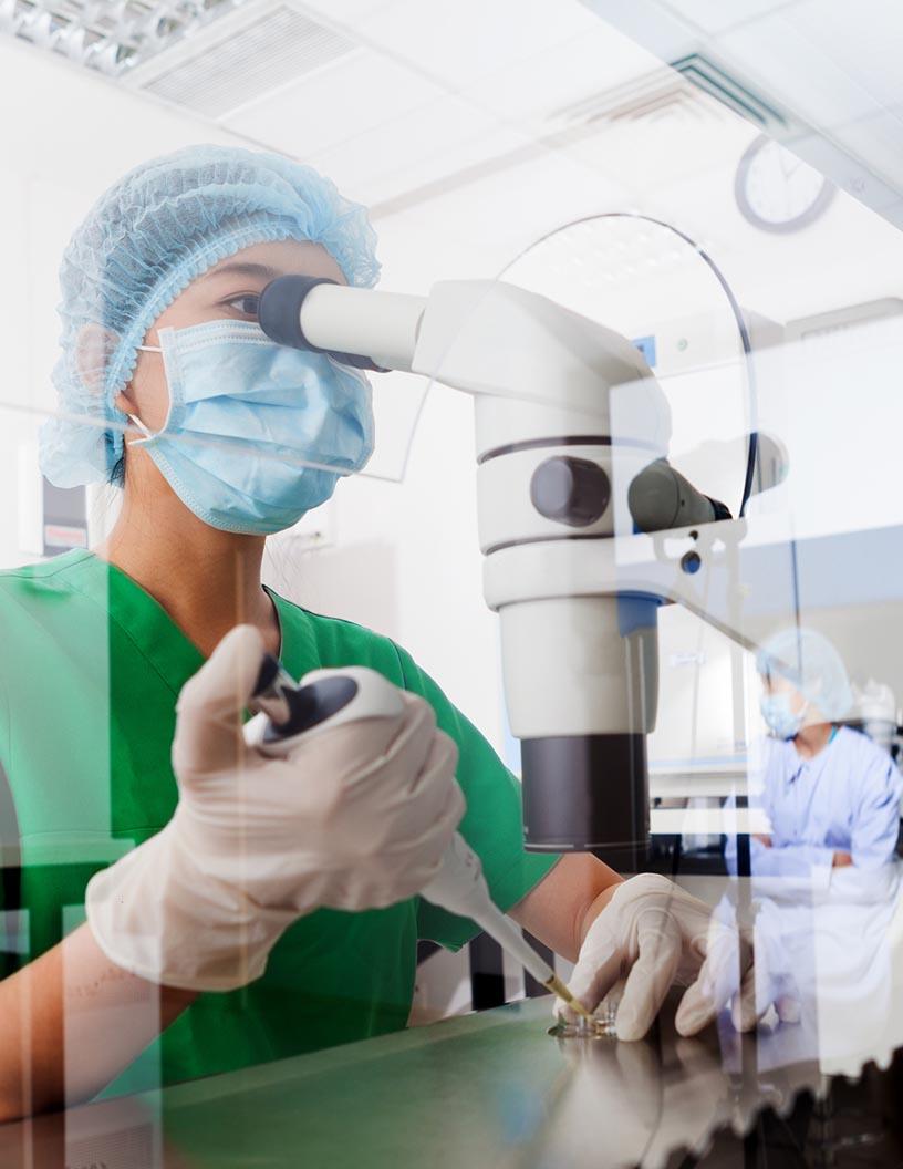 Regenerative Medicine Market Analysis, Size, and Forecast 2025-2029: North America (US and Canada), Europe (France, Germany, The Netherlands, and UK), Middle East and Africa (UAE), APAC (China, Japan, and South Korea), South America (Brazil), and Rest of World (ROW)