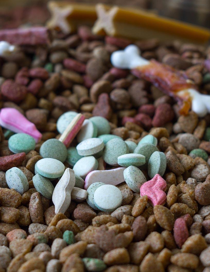 Pet Dietary Supplements Market Analysis, Size, and Forecast 2025-2029: North America (US and Canada), Europe (France, Germany, Italy, UK), APAC (China, India, Japan), South America (Argentina and Brazil), and Middle East and Africa (Egypt, KSA, Oman, UAE)