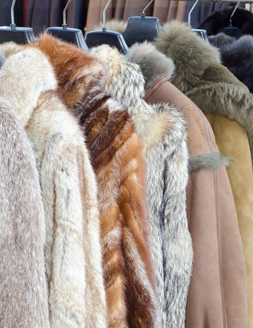 Artificial Fur Market Analysis, Size, and Forecast 2025-2029: APAC (Australia, China, India, Japan, South Korea), Europe (France, Germany, UK), North America (US and Canada), South America , and Middle East and Africa