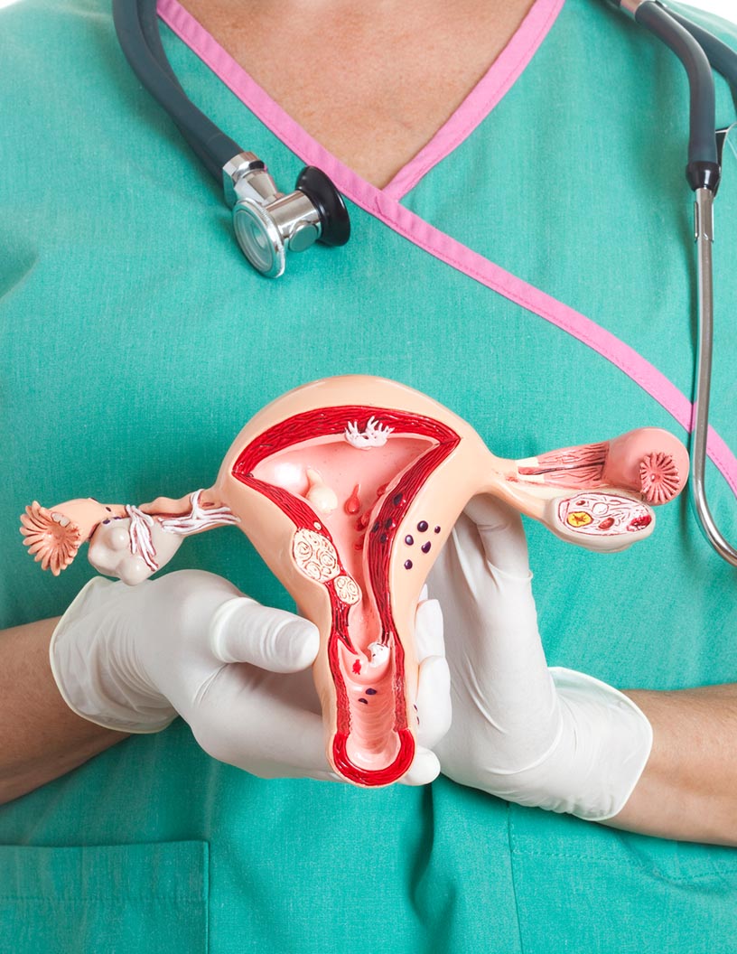 Cervical Cancer Diagnostic Testing Market by Technology, End-user, and Geography - Forecast and Analysis 2020-2024