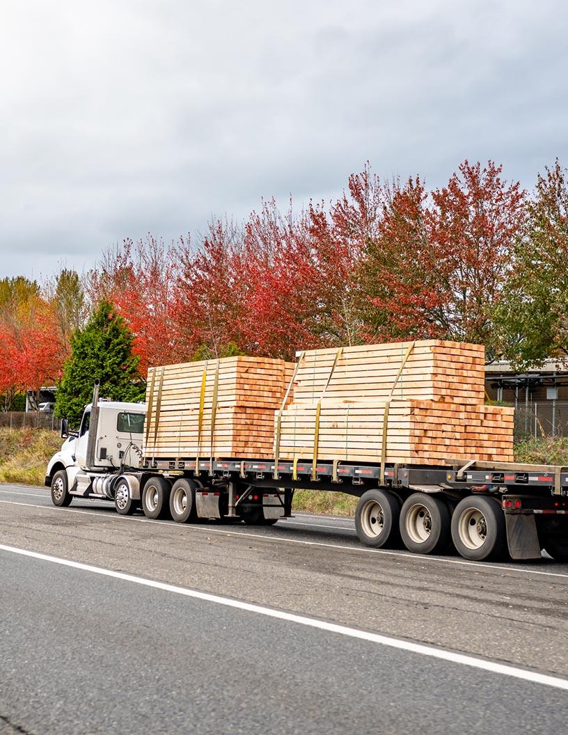 Timber Logistics Market Analysis APAC, Europe, North America, South America, Middle East and Africa - China, US, Germany, UK, Brazil, Japan, France, Italy, India, Indonesia - Size and Forecast 2025-2029