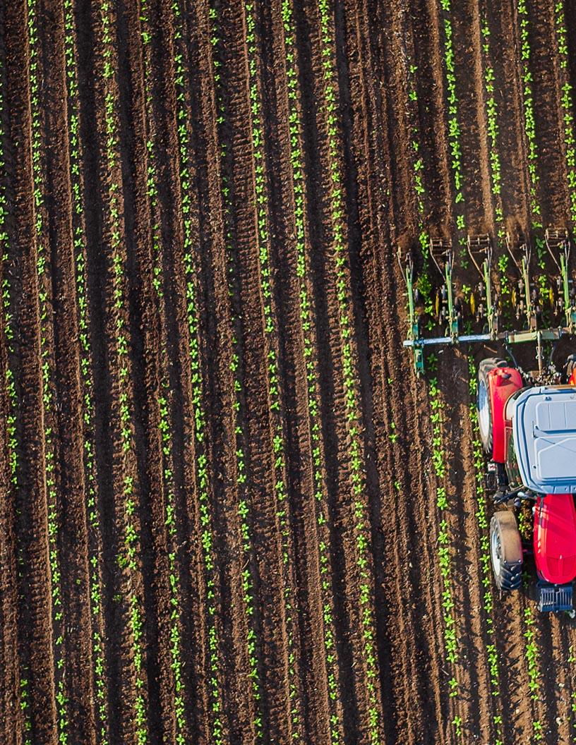 India Agricultural Machinery Market Analysis - Size and Forecast 2025-2029