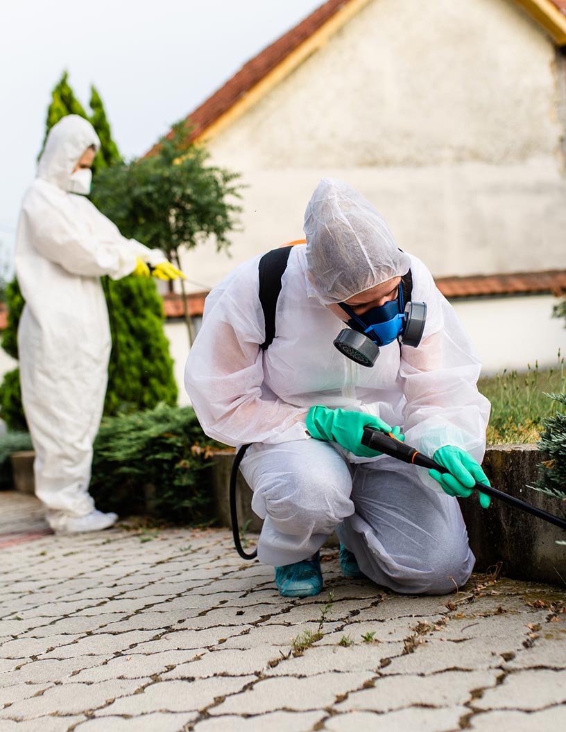 Home Outdoor Pest Control Devices Market Growth, Size, Trends, Analysis Report by Type, Application, Region and Segment Forecast 2020-2024