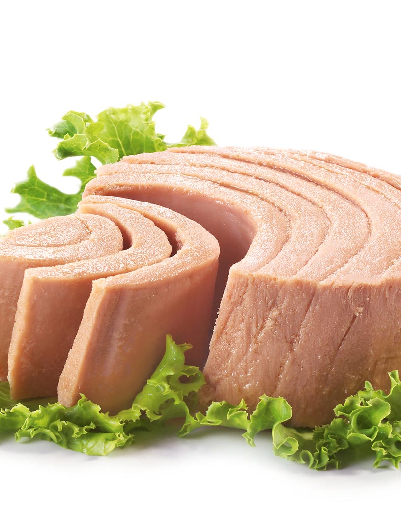 Canned Tuna Market Analysis, Size, and Forecast 2024-2028: North America (US and Canada), Europe (France, Germany, Italy, and UK), Middle East and Africa (Egypt, KSA, Oman, and UAE), APAC (China, India, and Japan), South America (Argentina and Brazil), and Rest of World (ROW)