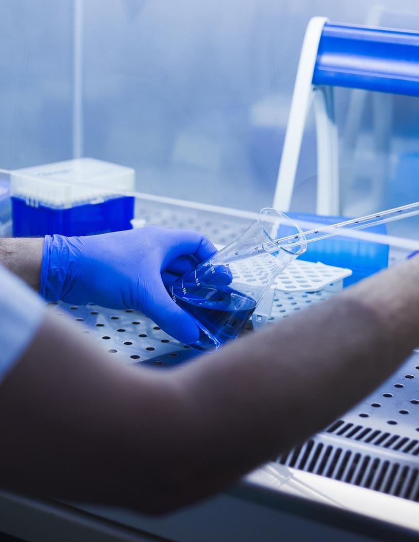 Pharmaceutical Excipients Market Analysis, Size, and Forecast 2025-2029: North America (US and Canada), Europe (France, Germany, Italy, and UK), Middle East and Africa (Egypt, KSA, Oman, and UAE), APAC (China, India, and Japan), South America (Argentina and Brazil), and Rest of World (ROW)