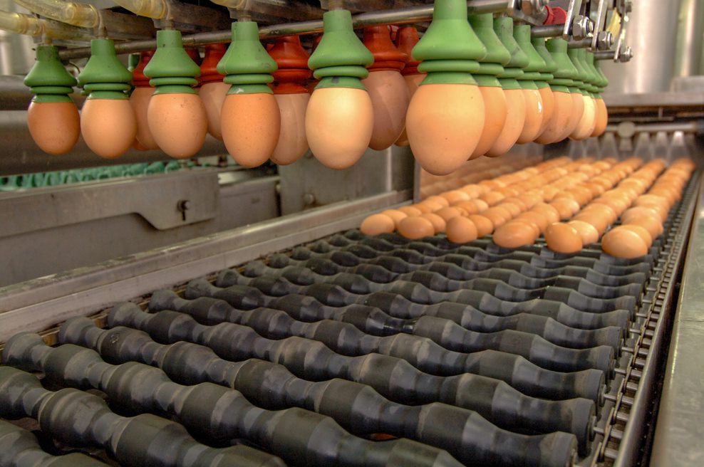 Sorting Equipment Market by End-user and Geography - Forecast and Analysis 2020-2024