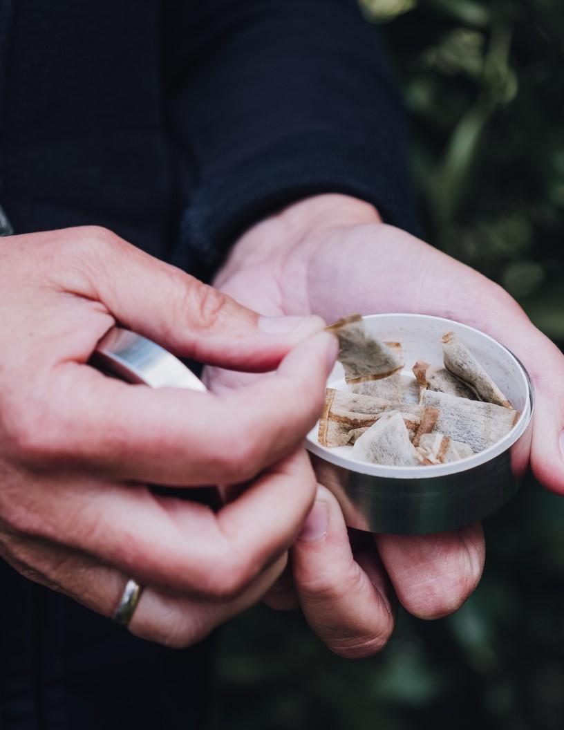 Snus Market Analysis Europe, North America, APAC, South America, Middle East and Africa - Sweden, US, Norway, Poland, Spain, Denmark, Canada, Germany, China, Finland - Size and Forecast 2025-2029