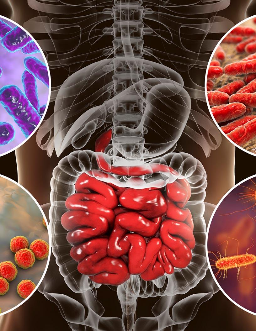 Gastrointestinal Diseases Therapeutics Market Analysis, Size, and Forecast 2025-2029: North America (US and Canada), Europe (France, Germany, Italy, and UK), APAC (China, India, Japan, and South Korea), and Rest of World (ROW)