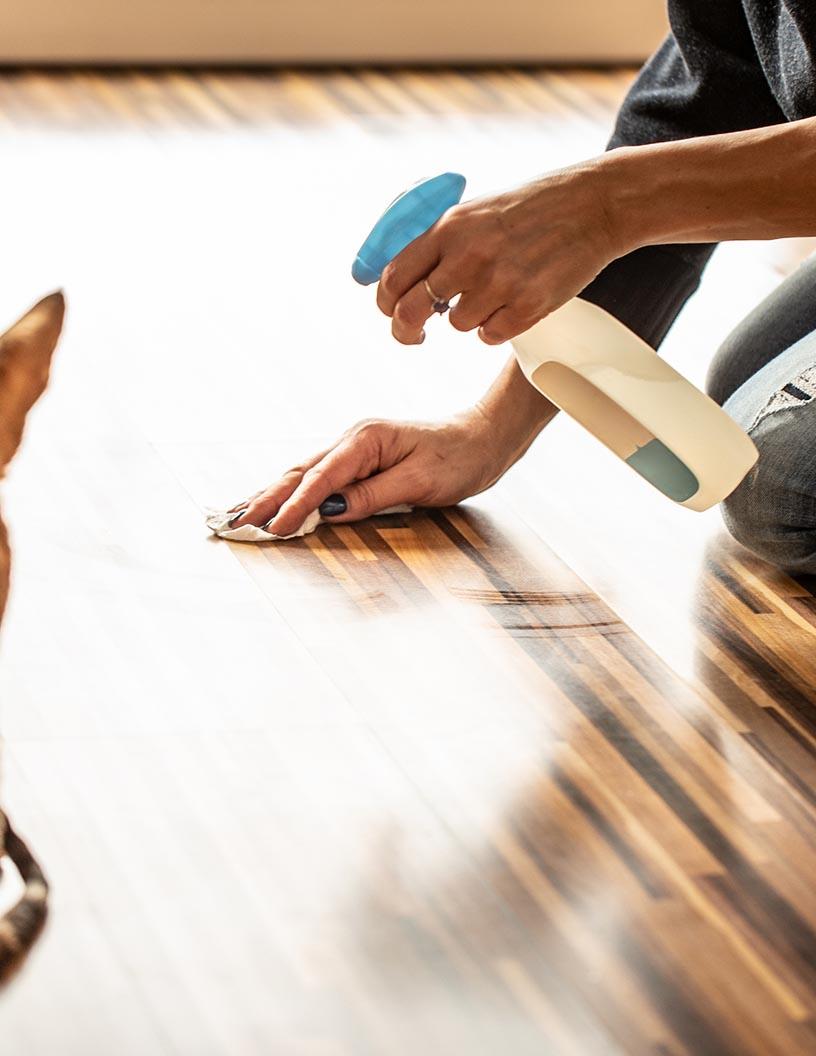 Animal Disinfectant Market Analysis, Size, and Forecast 2025-2029: North America (US and Canada), Europe (France, Germany, and UK), APAC (China, India, Japan, and South Korea), South America (Brazil), and Rest of World (ROW)