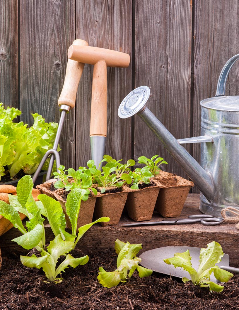 Cordless Garden Equipment Market Growth, Size, Trends, Analysis Report by Type, Application, Region and Segment Forecast 2021-2025