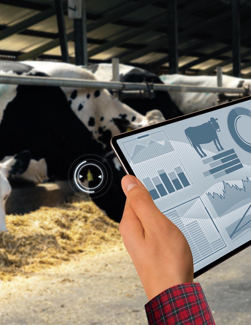 RFID Tags For Livestock Management Market Analysis, Size, and Forecast 2025-2029: North America (US and Canada), Europe (France, Germany, Italy, and UK), APAC (China, India, and Japan), and South America (Brazil)