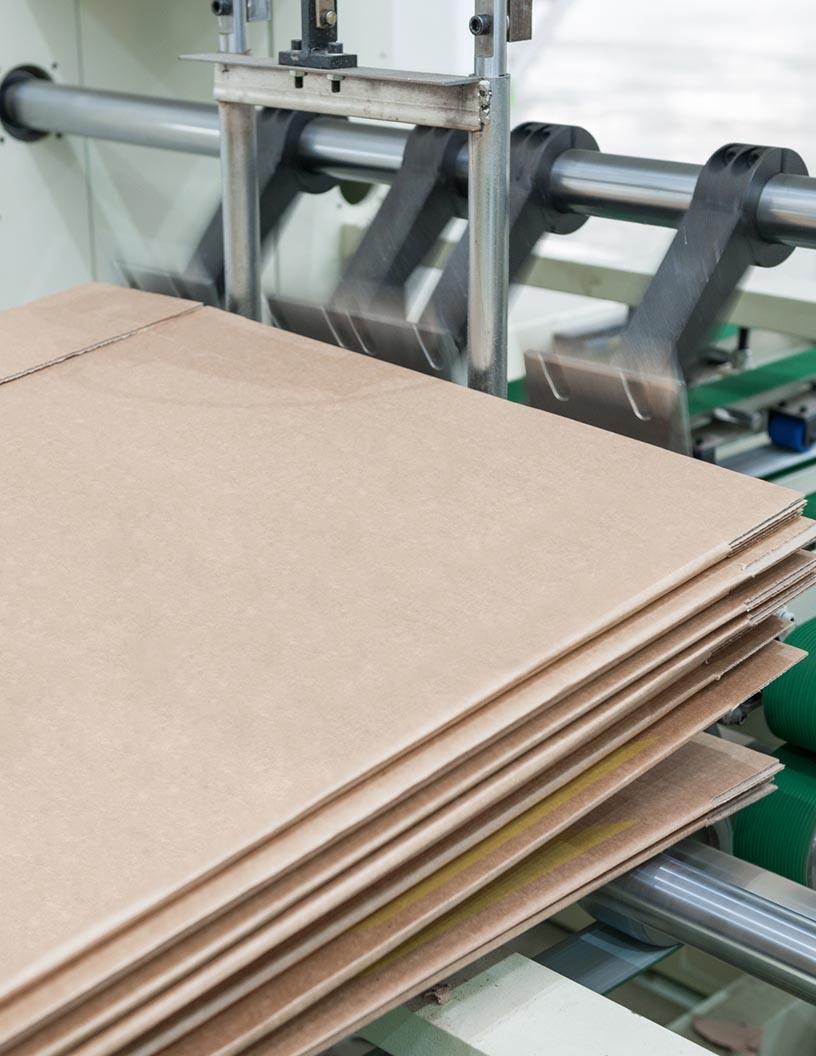 North America Folding Carton Market Analysis, Size, and Forecast 2025-2029: North America (US, Canada, and Mexico)