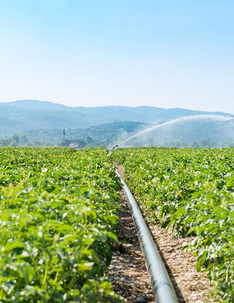 Wound Irrigation Solution Market in US by Product and End-user - Forecast and Analysis 2021-2025