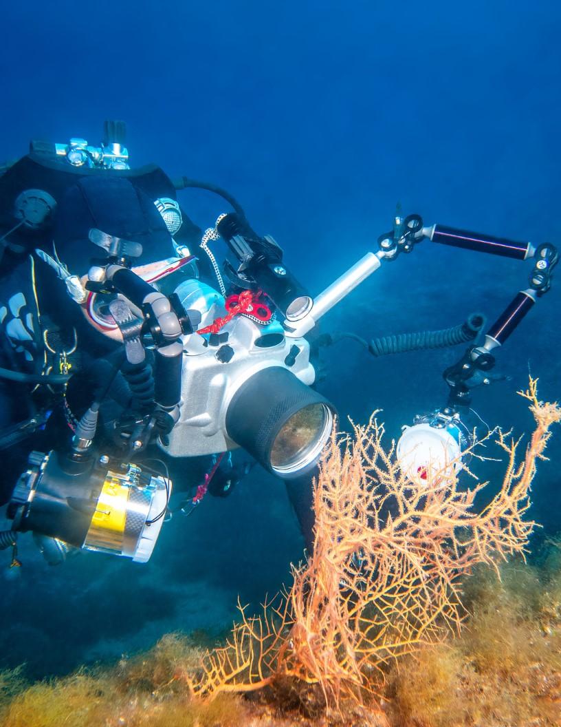 Underwater Camera Market Analysis, Size, and Forecast 2025-2029: North America (US and Canada), Europe (France, Germany, Italy, and UK), APAC (China and Japan), South America (Brazil), and Rest of World (ROW)