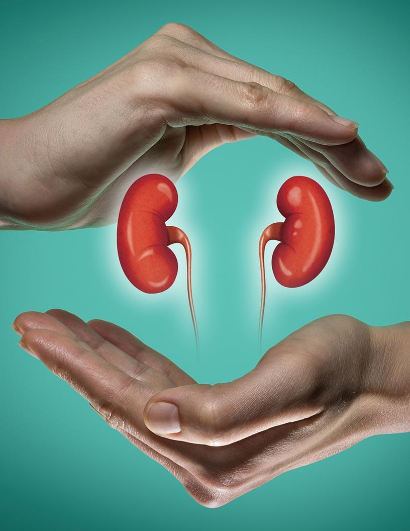 Renal Dialysis Market Analysis, Size, and Forecast 2025-2029: North America (US and Canada), Europe (France, Germany, and UK), APAC (Australia, China, India, Japan, and South Korea), and Rest of World (ROW)