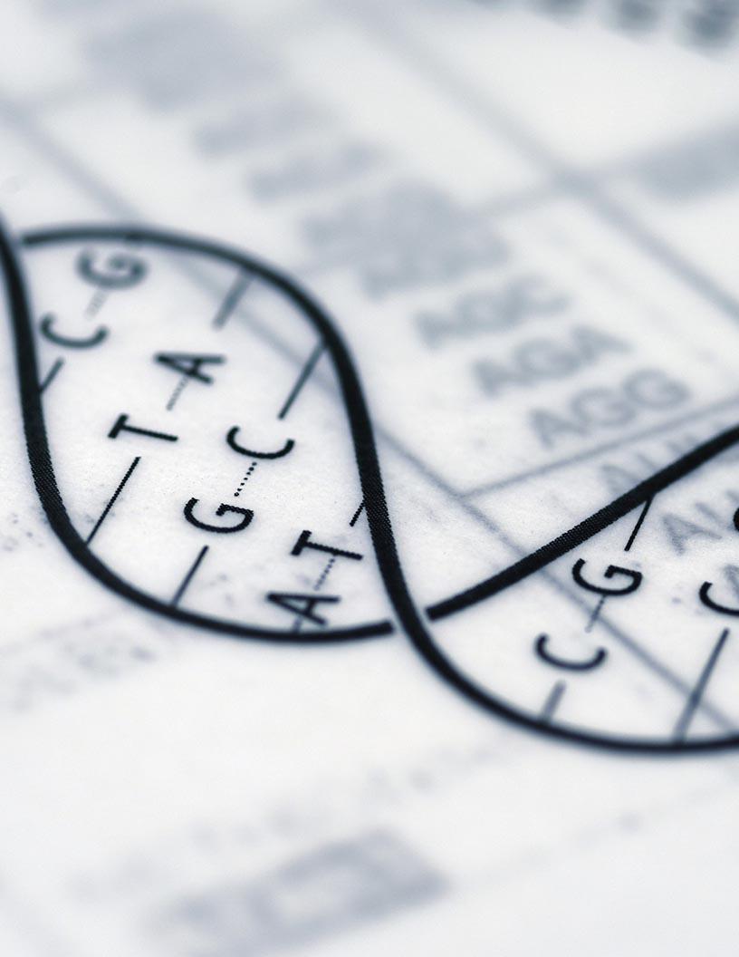 Humanized Mouse Model Market Analysis, Size, and Forecast 2025-2029: North America (US and Canada), Europe (France, Germany, and UK), APAC (China, India, Japan, and South Korea), South America (Brazil), and Rest of World (ROW)