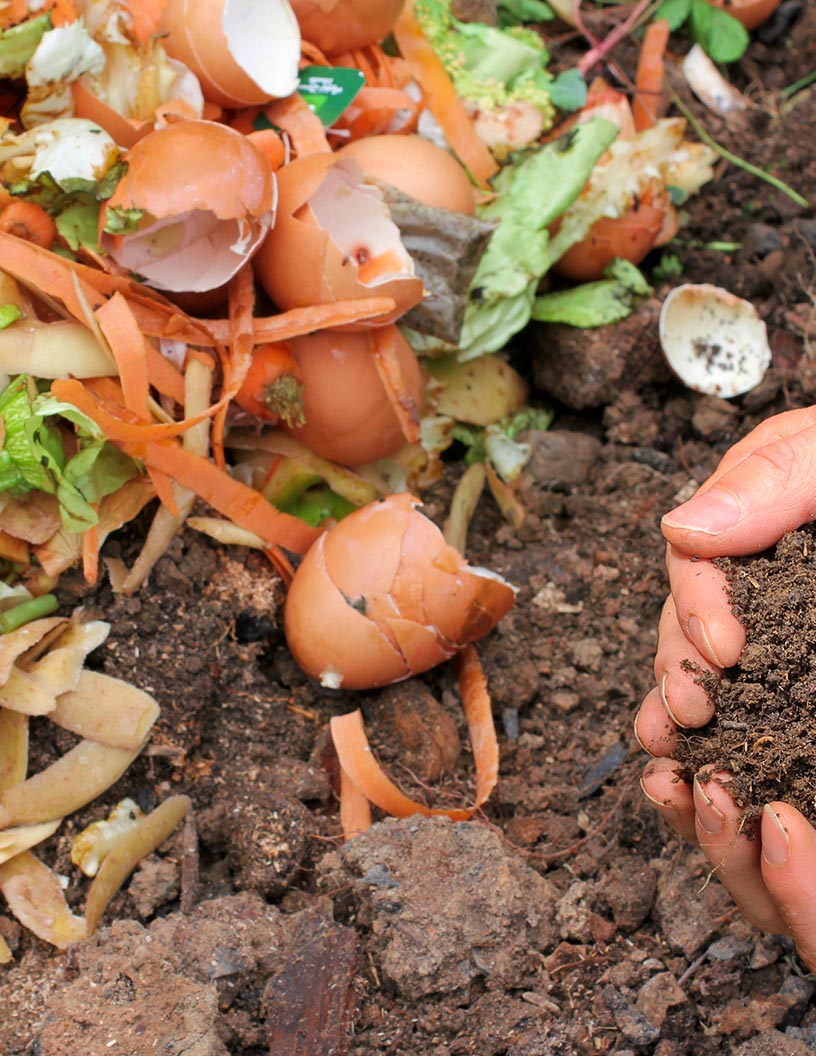 Agricultural Biologicals Market Analysis North America, Europe, APAC, South America, Middle East and Africa - US, China, Germany, France, Brazil, India, Spain, Italy, Canada, UK - Size and Forecast 2025-2029