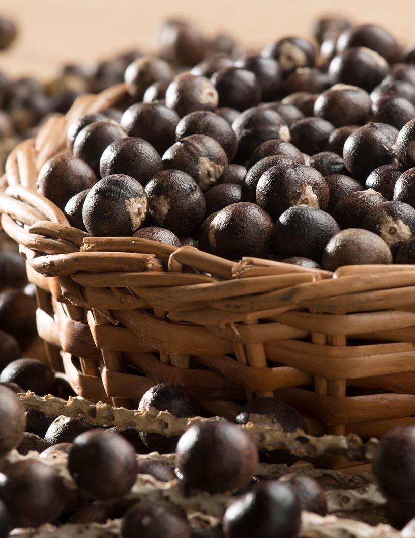 Acai Berry Products Market Analysis, Size, and Forecast 2025-2029: North America (US and Canada), Europe (France, Germany, Italy, and UK), APAC (China, India, and Japan), South America (Brazil), and Rest of World (ROW)