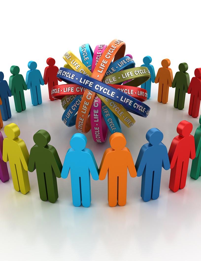 Application Lifecycle Management Market Analysis, Size, and Forecast 2025-2029: North America (US and Canada), Europe (France, Germany, Italy, and UK), APAC (China, India, and Japan), South America (Brazil), and Rest of World (ROW)