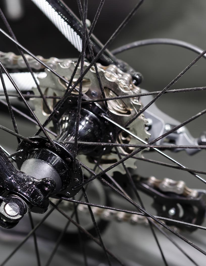 Bicycle Carbon Frames Market Growth, Size, Trends, Analysis Report by Type, Application, Region and Segment Forecast 2021-2025