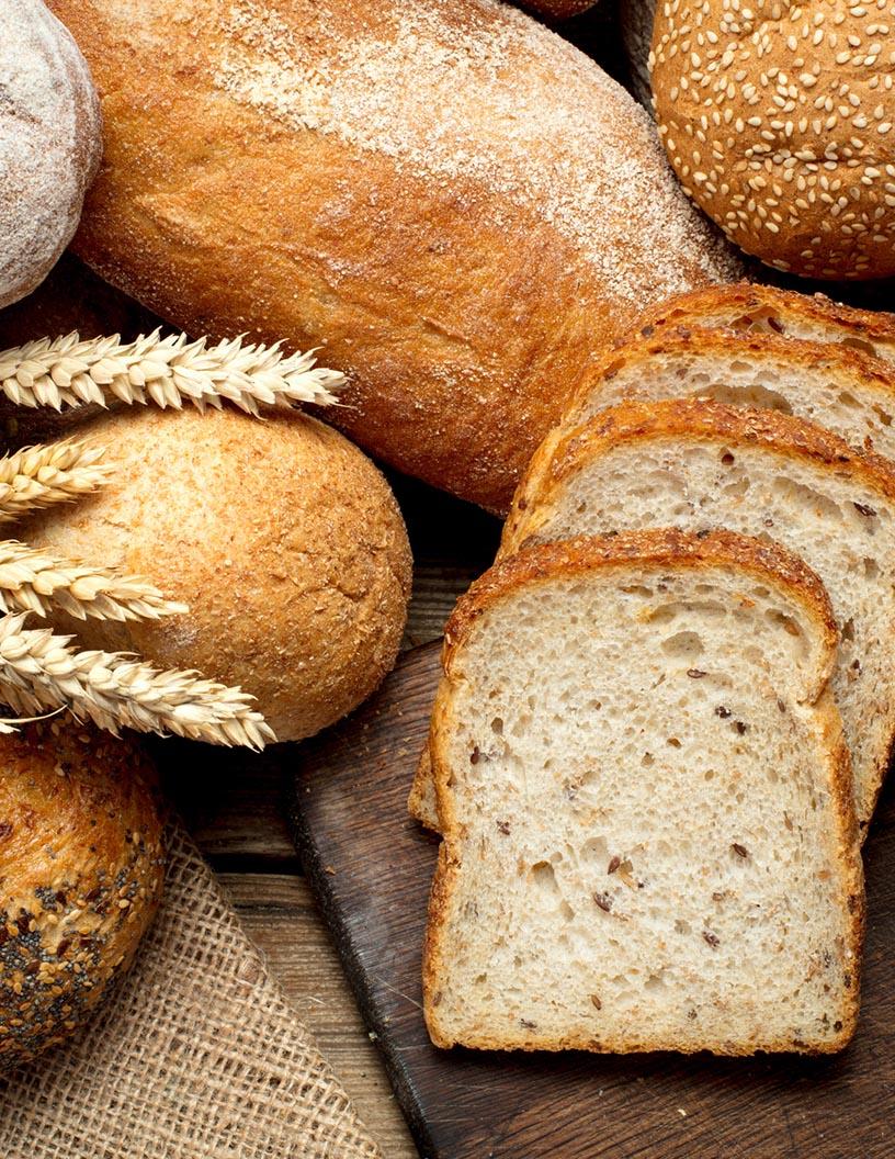Bread Market Analysis, Size, and Forecast 2025-2029: Europe (France, Germany, Italy, The Netherlands, UK), North America (US and Canada), APAC (China, India, Japan), South America , and Middle East and Africa