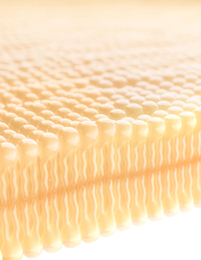 Cellulose Acetate Market by Type, Application, and Geography - Forecast and Analysis 2021-2025