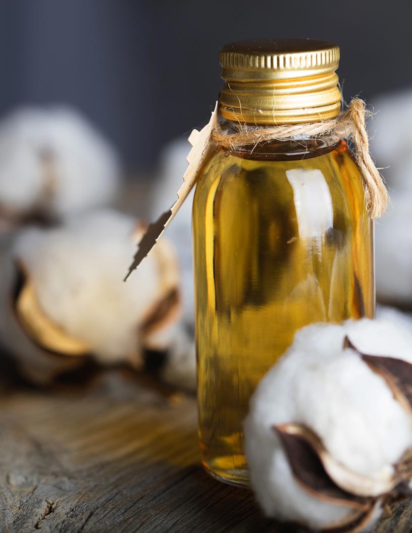 Cottonseed Oil Market Analysis APAC, Middle East and Africa, North America, South America, Europe - US, India, China, Pakistan, Brazil - Size and Forecast 2023-2027