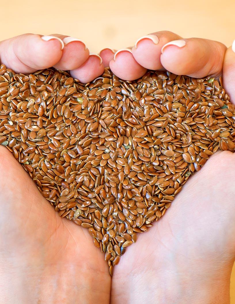 Flax Seeds Market Analysis, Size, and Forecast 2025-2029: North America (US and Canada), Europe (France, Germany, UK), Middle East and Africa , APAC (Australia, China, India, Japan, South Korea), South America , and Rest of World (ROW)