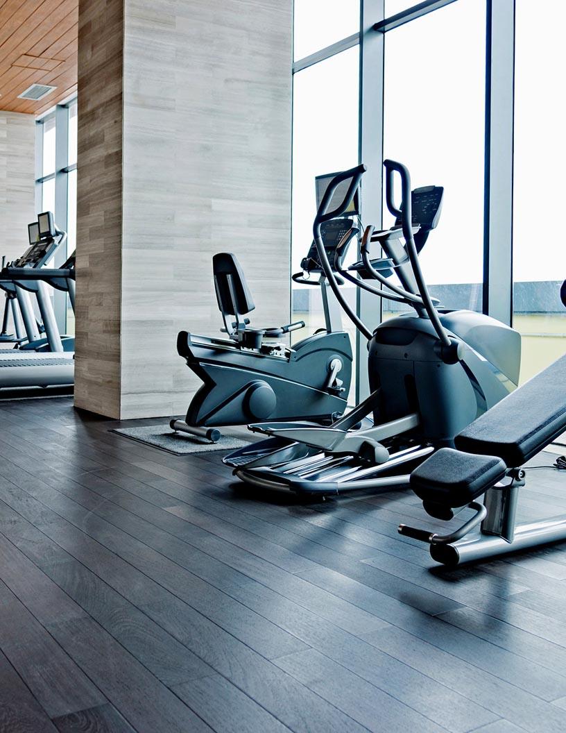 Gym And Health Clubs Market Analysis, Size, and Forecast 2025-2029: North America (US and Canada), APAC (China, India, Japan, South Korea), Europe (France, Germany, Italy, UK), Middle East and Africa (UAE), and South America