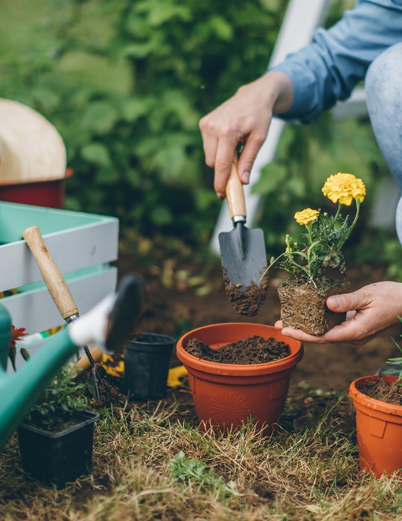 Garden And Lawn Tools Market Analysis, Size, and Forecast 2025-2029: North America (US and Canada), Europe (France, Germany, Italy, Spain, and UK), APAC (China, India, and Japan), and Rest of World (ROW)