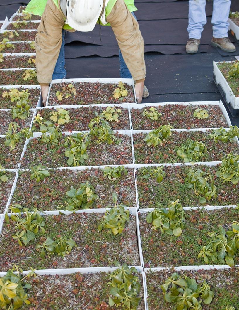 Green-Roofs Market Analysis, Size, and Forecast 2025-2029: North America (US, Canada, and Mexico), Europe (France, Germany, UK), Middle East and Africa , APAC (China, India, Japan, Singapore), South America , and Rest of World (ROW)